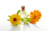 flower remedies work on the biochemical part of our being
